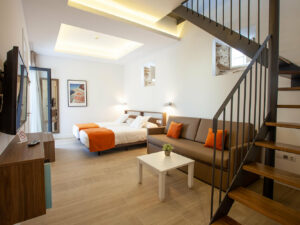 Penthouse with terrace